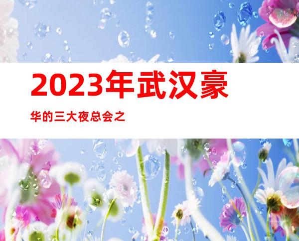 2023年武汉豪华的三大夜总会之一武汉金都会夜总会