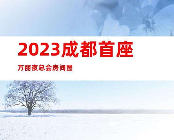 2023成都首座万丽夜总会房间图片KTV会所排行 – 成都温江公平商务KTV