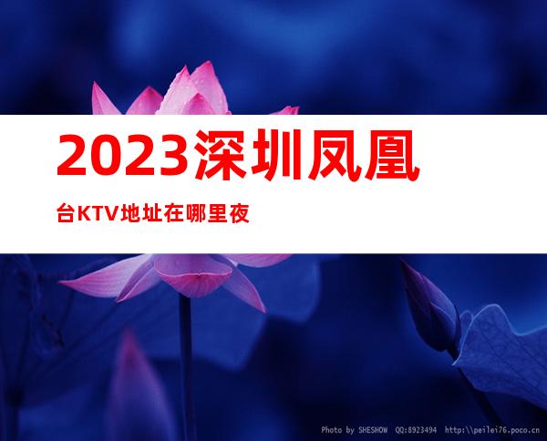 2023深圳凤凰台KTV地址在哪里夜总会游戏多好玩 – 深圳福田福华新村商务KTV