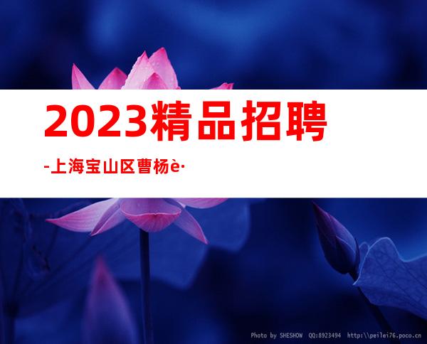 2023精品招聘-上海宝山区曹杨路星辉国际ktv新人保证上班率