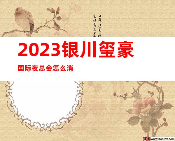 2023银川玺豪国际夜总会怎么消费夜总会怎么消费 – 银川灵武商务KTV