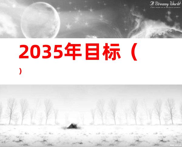 2035年目标()