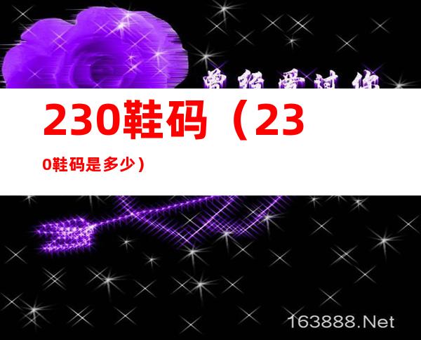 230鞋码(230鞋码是多少)