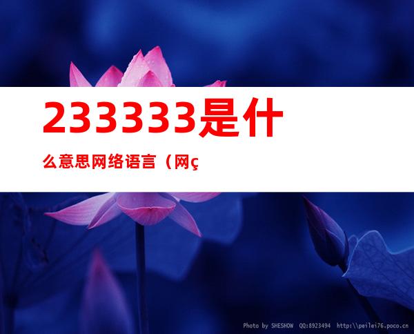 233333是什么意思网络语言(网络语言2333333是什么意思)