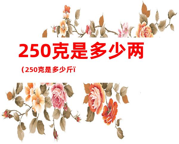250克是多少两(250克是多少斤)