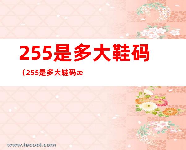 255是多大鞋码(255是多大鞋码怎么计算)