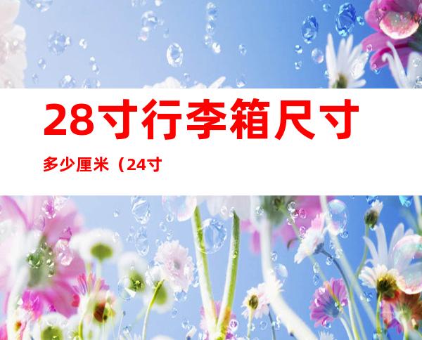 28寸行李箱尺寸多少厘米(24寸行李箱尺寸多少厘米)