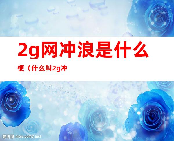 2g网冲浪是什么梗(什么叫2g冲浪)