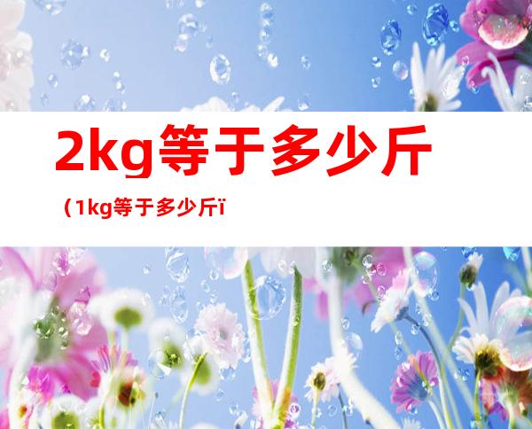 2kg等于多少斤(1kg等于多少斤)