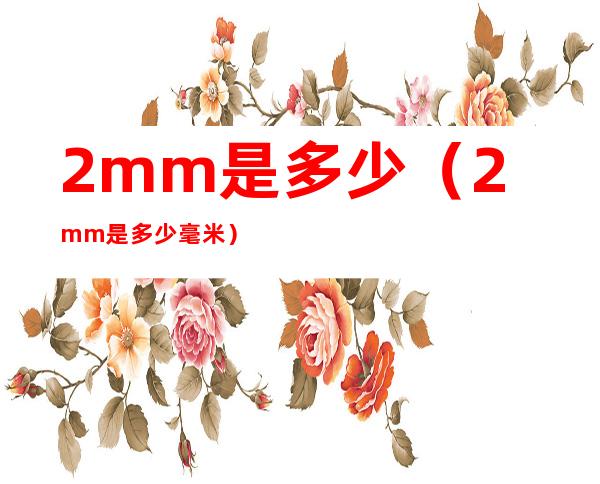2mm是多少(2mm是多少毫米)