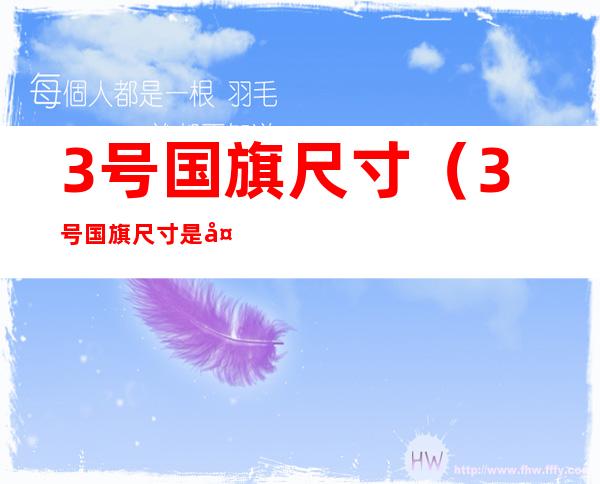 3号国旗尺寸(3号国旗尺寸是多大)