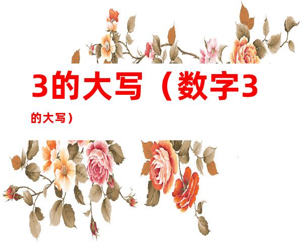 3的大写(数字3的大写)