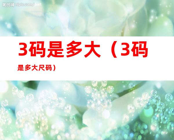 3码是多大(3码是多大尺码)