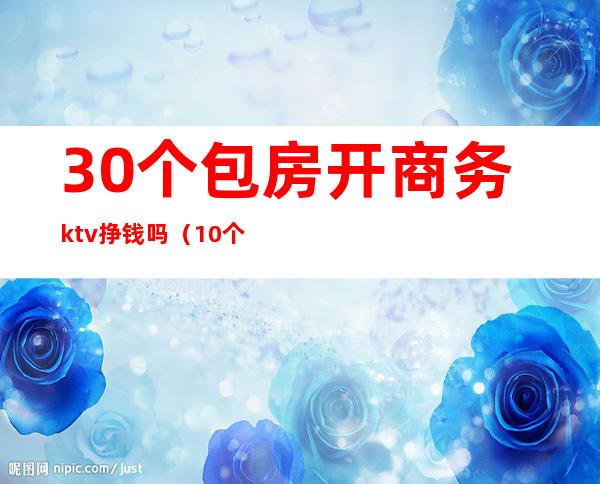 30个包房开商务ktv挣钱吗(10个包厢的KTV赚钱吗)