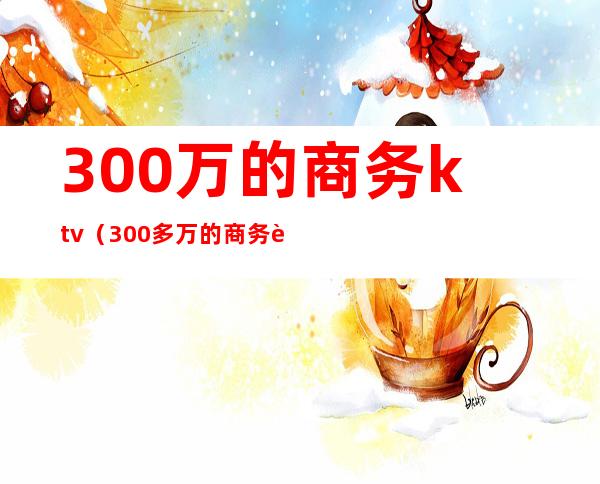 300万的商务ktv（300多万的商务车）