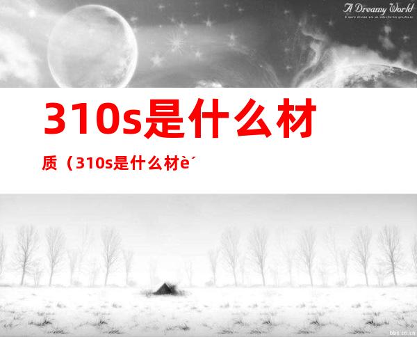 310s是什么材质(310s是什么材质是不是2250)