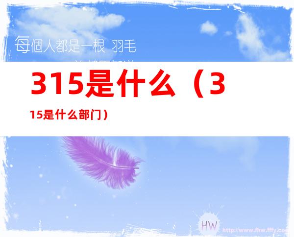 315是什么(315是什么部门)