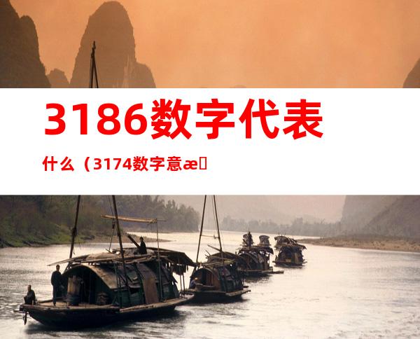 3186数字代表什么（3174数字意思）