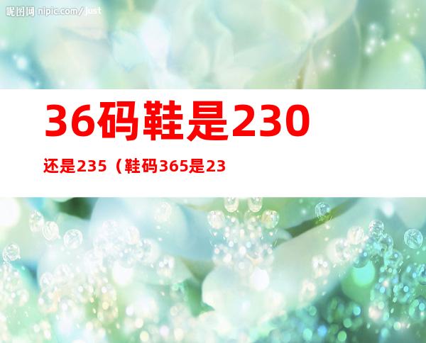 36码鞋是230还是235(鞋码36.5是230还是235)
