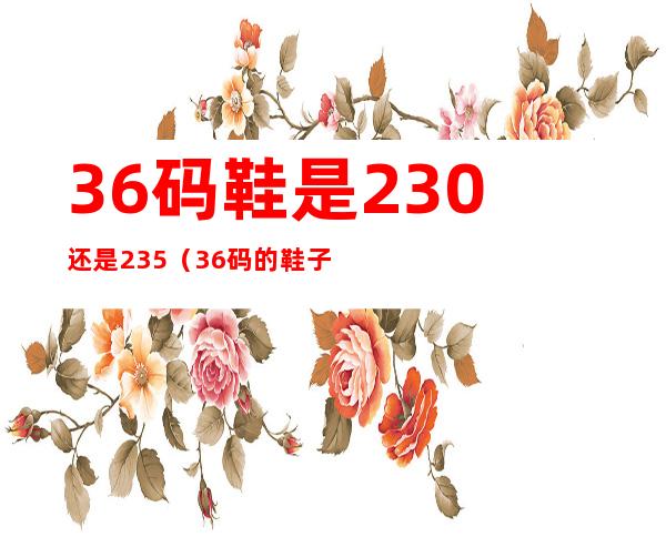 36码鞋是230还是235(36码的鞋子是225还是230)