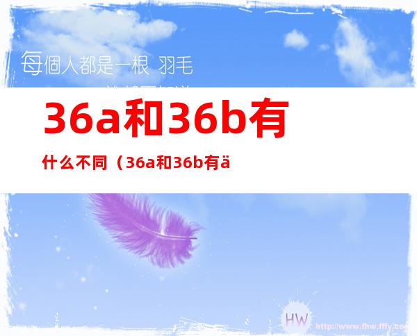 36a和36b有什么不同(36a和36b有什么不同图片)