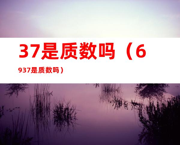 37是质数吗(6937是质数吗)