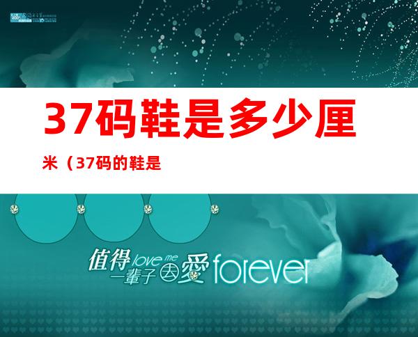 37码鞋是多少厘米(37码的鞋是多少毫米)