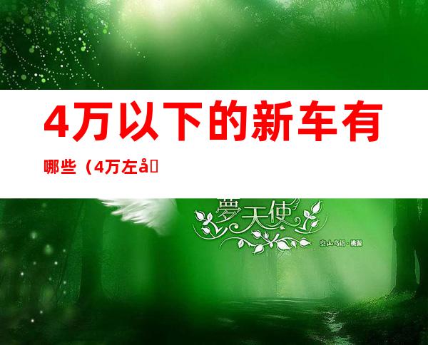 4万以下的新车有哪些(4万左右的车有哪些新车)