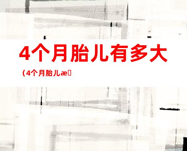 4个月胎儿有多大(4个月胎儿有多大男女)