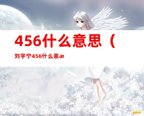 456什么意思（刘宇宁456什么意思）