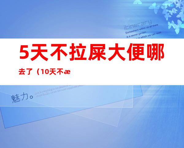 5天不拉屎大便哪去了(10天不拉屎大便哪去了)