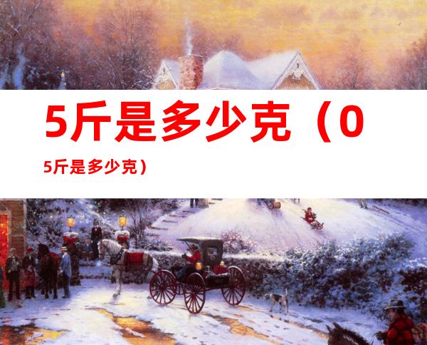 5斤是多少克(0.5斤是多少克)