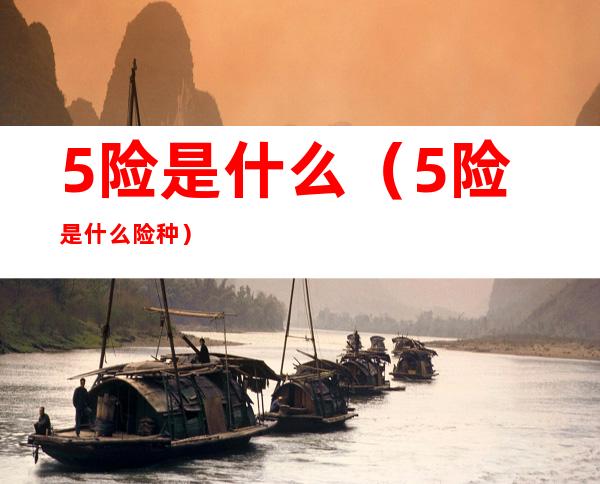 5险是什么(5险是什么险种)