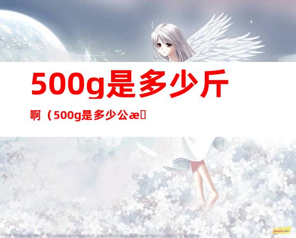 500g是多少斤啊(500g是多少公斤啊)