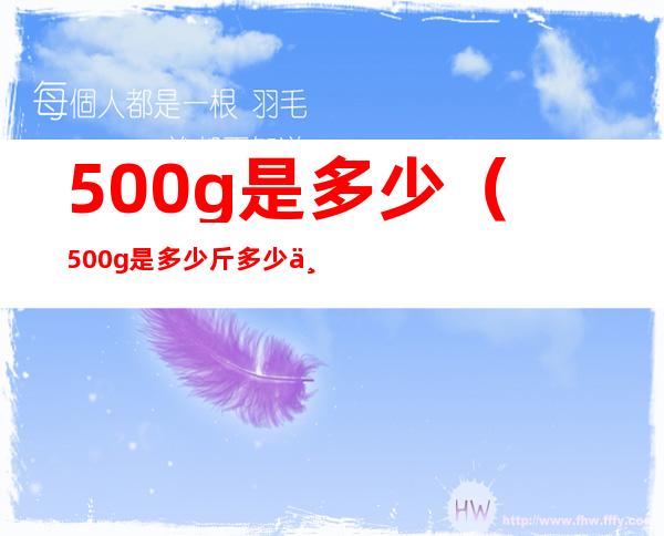 500g是多少(500g是多少斤多少两)