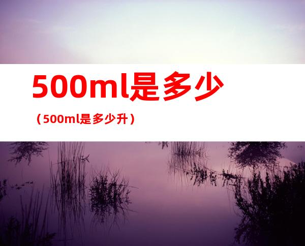 500ml是多少(500ml是多少升)
