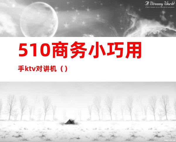 510商务小巧用手ktv对讲机()