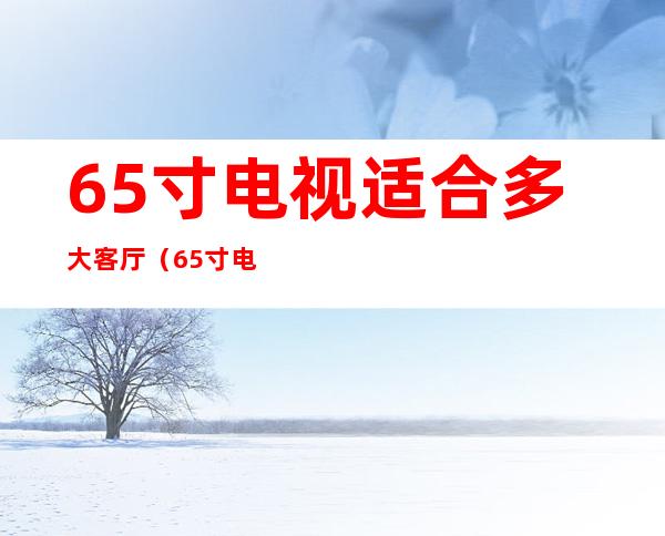 65寸电视适合多大客厅(65寸电视适合多大客厅知乎)