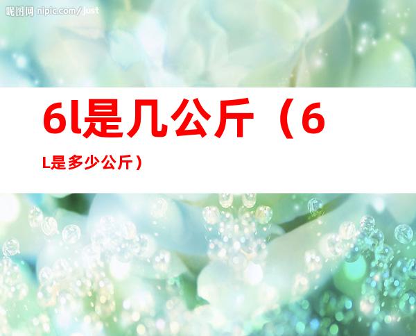 6l是几公斤（6L是多少公斤）