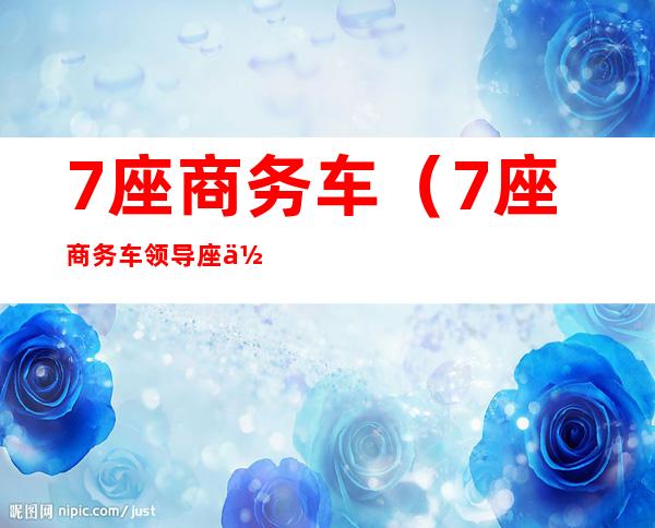7座商务车(7座商务车领导座位图)
