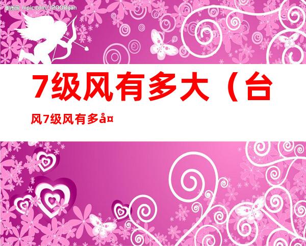 7级风有多大（台风7级风有多大）