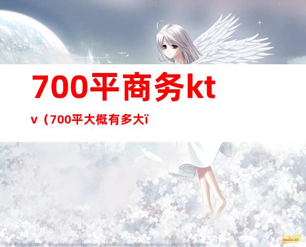 700平商务ktv（700平大概有多大）