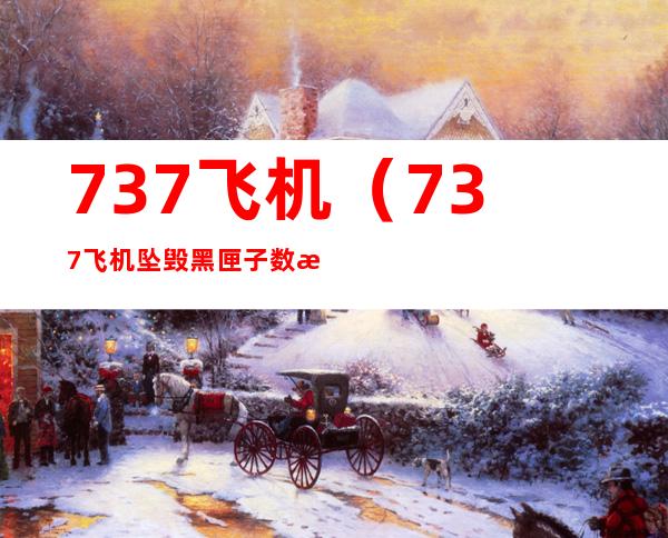 737飞机(737飞机坠毁黑匣子数据出来了吗)
