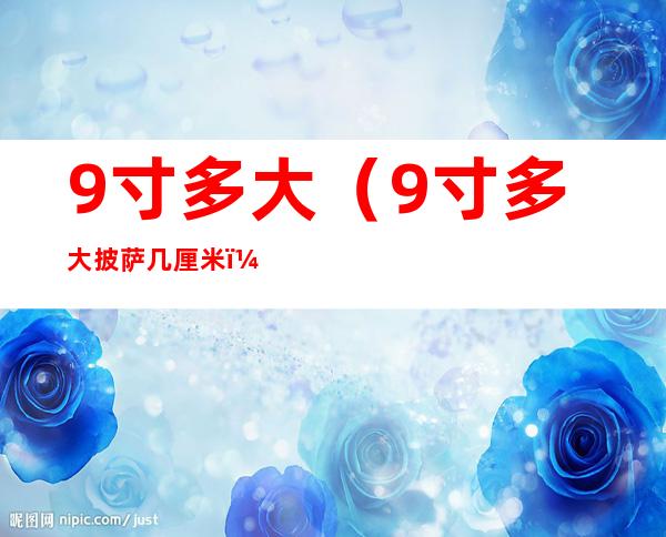 9寸多大(9寸多大披萨几厘米)