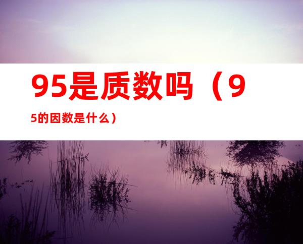 95是质数吗(95的因数是什么)