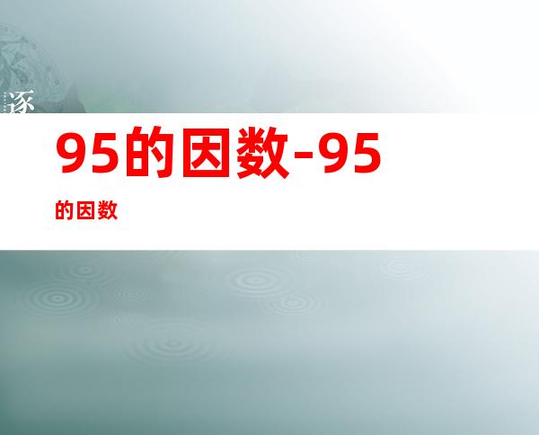 95的因数-95的因数