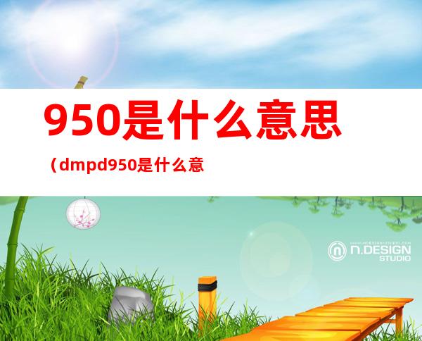 950是什么意思(dmpd950是什么意思)