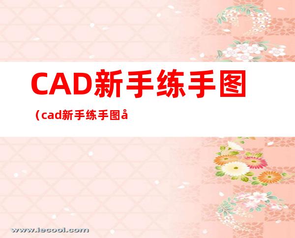CAD新手练手图（cad新手练手图平面图）