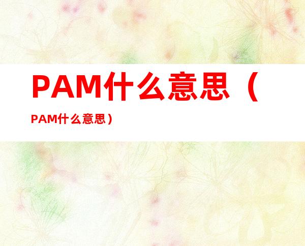 PAM什么意思(PAM什么意思)