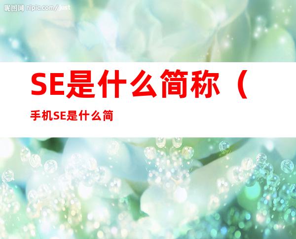 SE是什么简称(手机SE是什么简称)